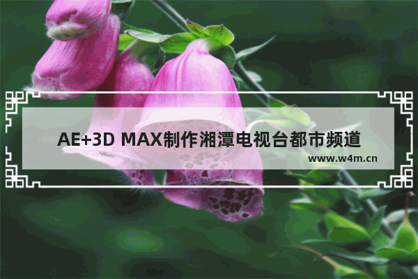 AE+3D MAX制作湘潭电视台都市频道片头