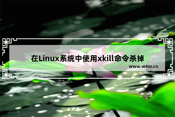 在Linux系统中使用xkill命令杀掉未响应的进程