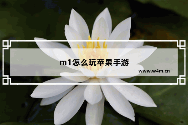 m1怎么玩苹果手游