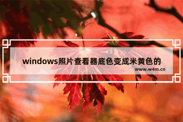 windows照片查看器底色变成米黄色的解决办法