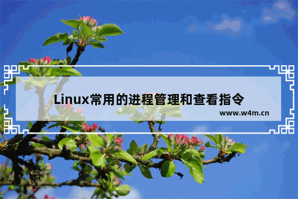 Linux常用的进程管理和查看指令