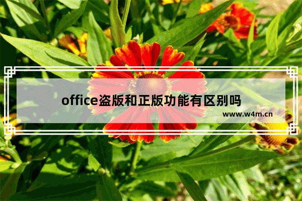 office盗版和正版功能有区别吗