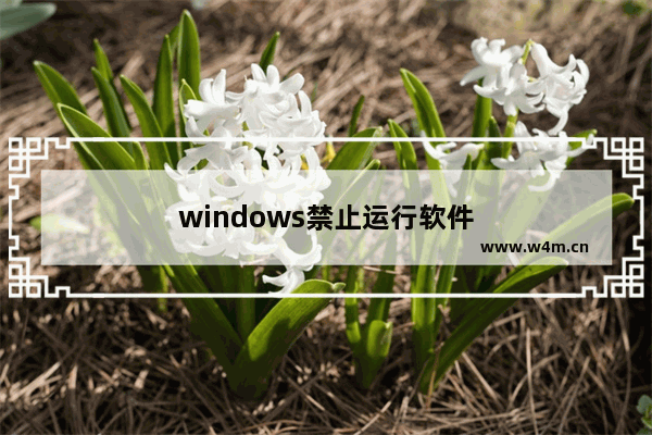 windows禁止运行软件