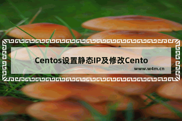 Centos设置静态IP及修改Centos配置文件的方法