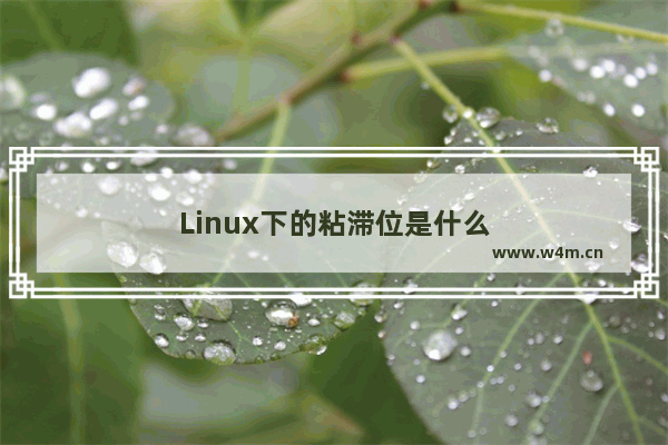 Linux下的粘滞位是什么