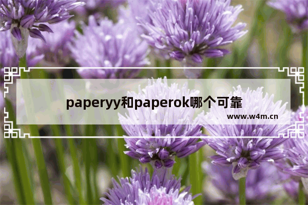 paperyy和paperok哪个可靠