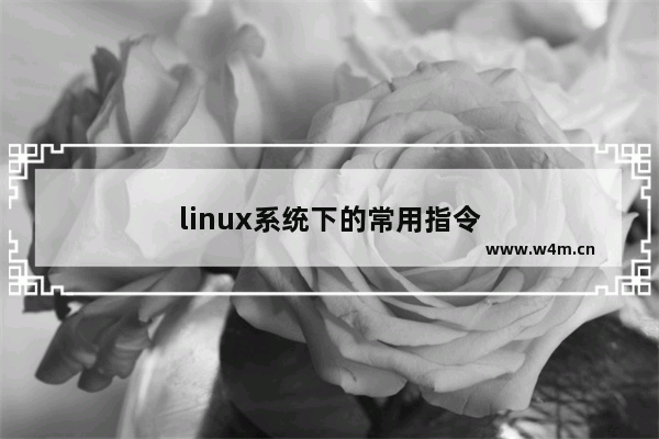 linux系统下的常用指令