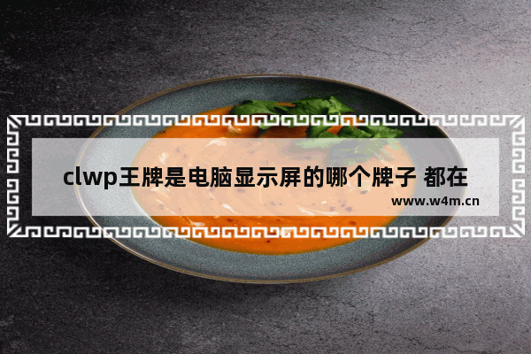 clwp王牌是电脑显示屏的哪个牌子 都在用的电脑显示屏品牌