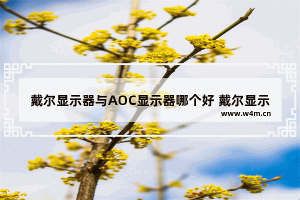 戴尔显示器与AOC显示器哪个好 戴尔显示器和