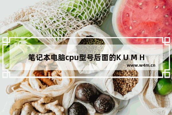 笔记本电脑cpu型号后面的K U M HQ Y都是什么意思 买笔记本的话要后面有带什么的好 cpu简介表