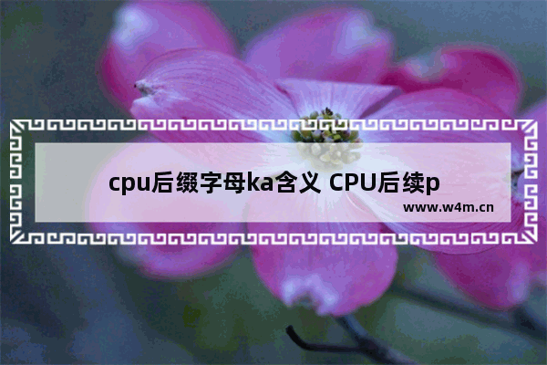 cpu后缀字母ka含义 CPU后续p