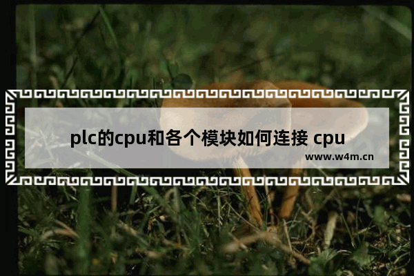 plc的cpu和各个模块如何连接 cpu和plc有什么区别