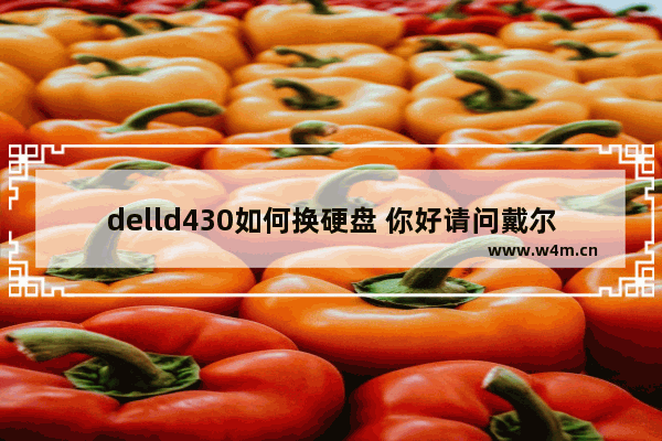 delld430如何换硬盘 你好请问戴尔D430支持MSATAminipci-e固态硬盘吗