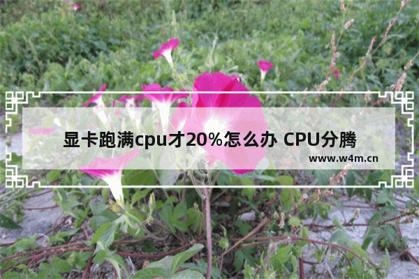 显卡跑满cpu才20%怎么办 CPU分腾