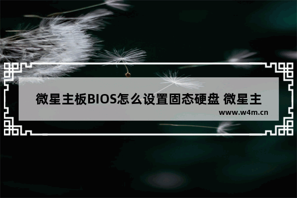 微星主板BIOS怎么设置固态硬盘 微星主板固态硬盘设置