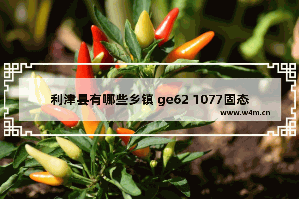 利津县有哪些乡镇 ge62 1077固态硬盘