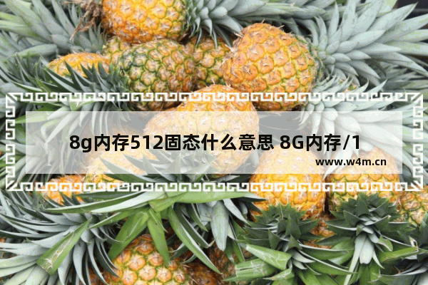 8g内存512固态什么意思 8G内存/1T+256G固态是啥意思