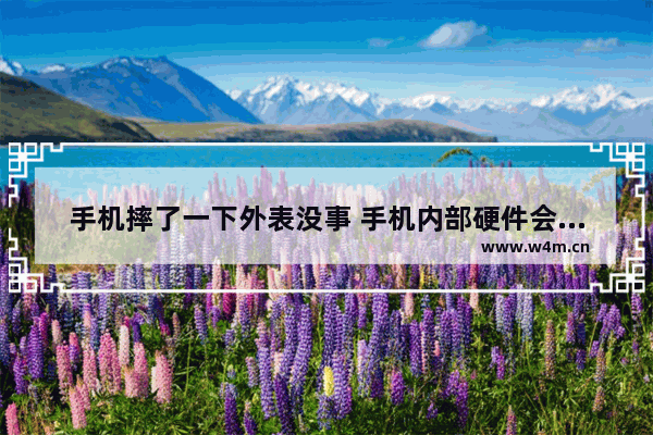 手机摔了一下外表没事 手机内部硬件会有损伤么 或者影响运行 显示器的外观