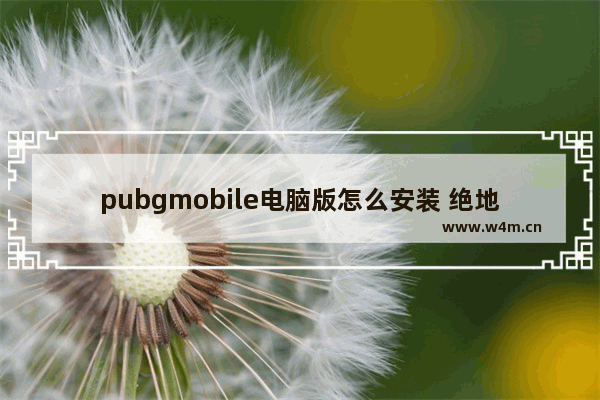 pubgmobile电脑版怎么安装 绝地求生如何组装电脑操作