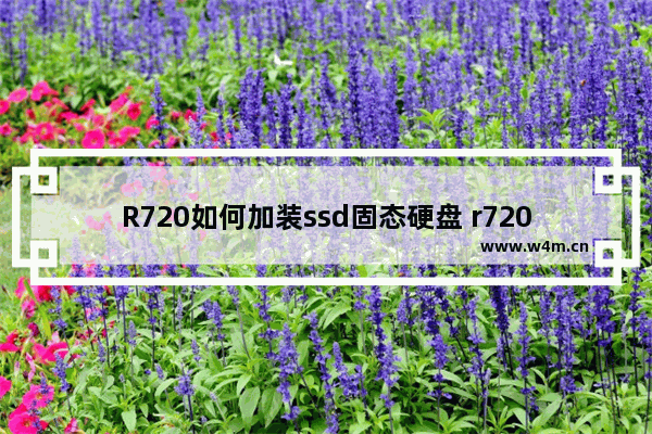 R720如何加装ssd固态硬盘 r720加装固态硬盘