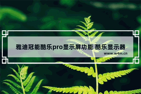 雅迪冠能酷乐pro显示屏功能 酷乐显示器