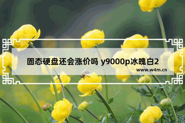 固态硬盘还会涨价吗 y9000p冰魄白2022款为什么涨价了