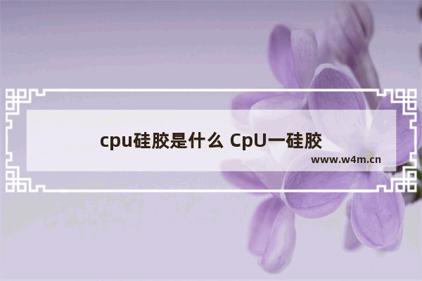 cpu硅胶是什么 CpU一硅胶