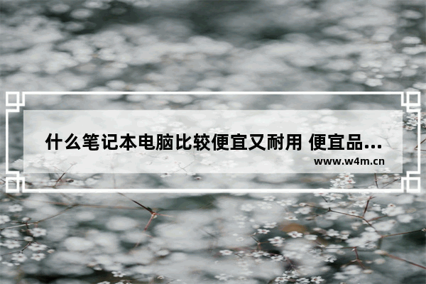 什么笔记本电脑比较便宜又耐用 便宜品牌的笔记本电脑