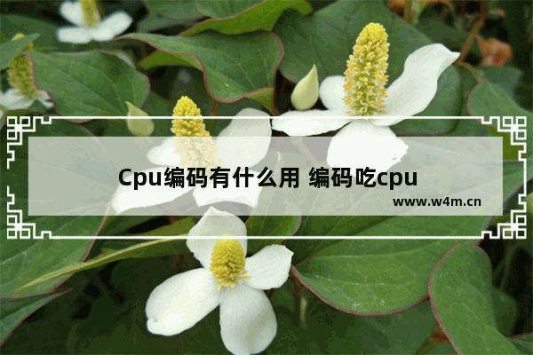 Cpu编码有什么用 编码吃cpu