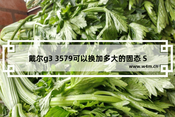 戴尔g3 3579可以换加多大的固态 SSD固态硬盘怎么用ins