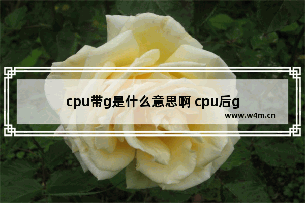 cpu带g是什么意思啊 cpu后g