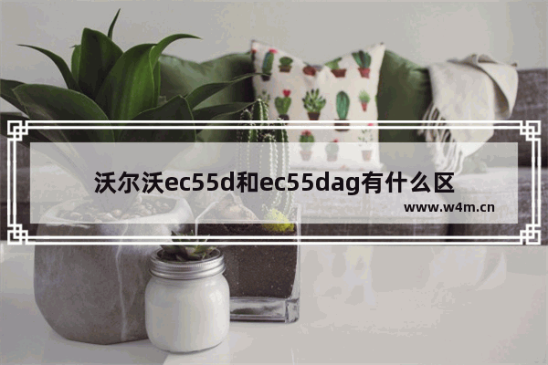 沃尔沃ec55d和ec55dag有什么区别 显示器有杠杆