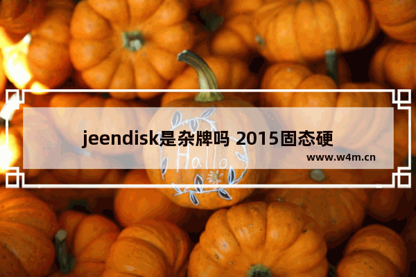 jeendisk是杂牌吗 2015固态硬盘排行榜