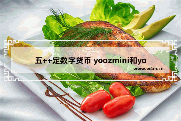 五++定数字货币 yoozmini和yoozminiplus的长度