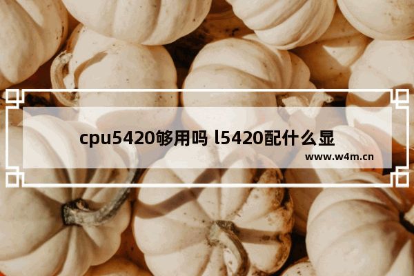 cpu5420够用吗 l5420配什么显卡