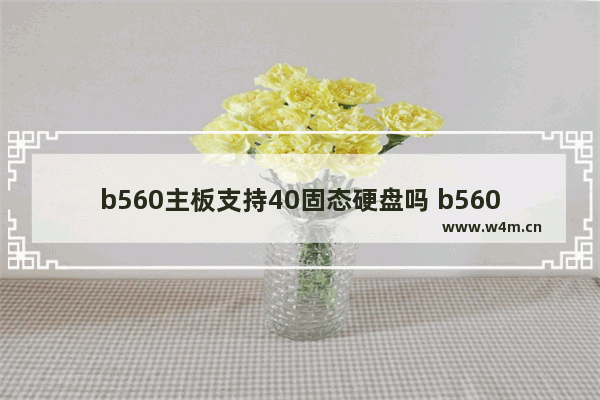 b560主板支持40固态硬盘吗 b560m主板安装固态硬盘