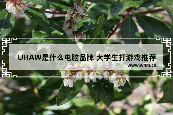 UHAW是什么电脑品牌 大学生打游戏推荐电脑品牌