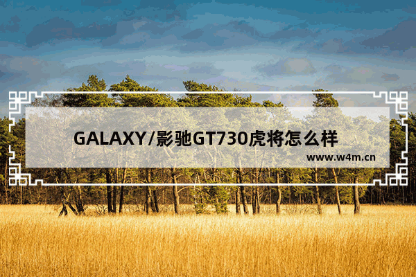 GALAXY/影驰GT730虎将怎么样 影驰730显卡怎么样