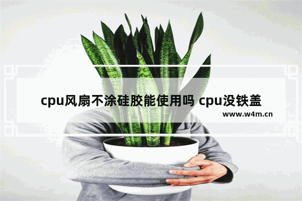 cpu风扇不涂硅胶能使用吗 cpu没铁盖