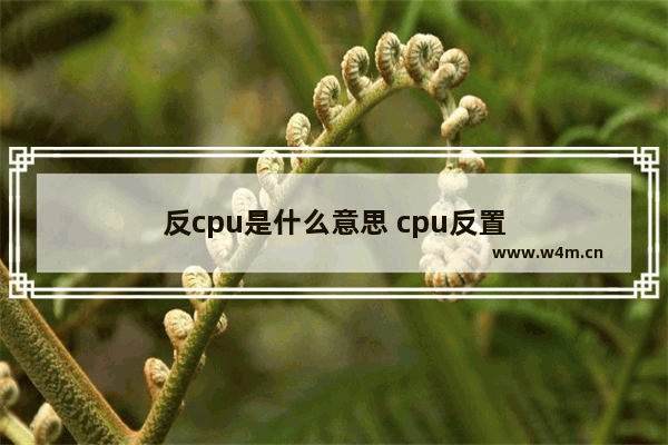 反cpu是什么意思 cpu反置