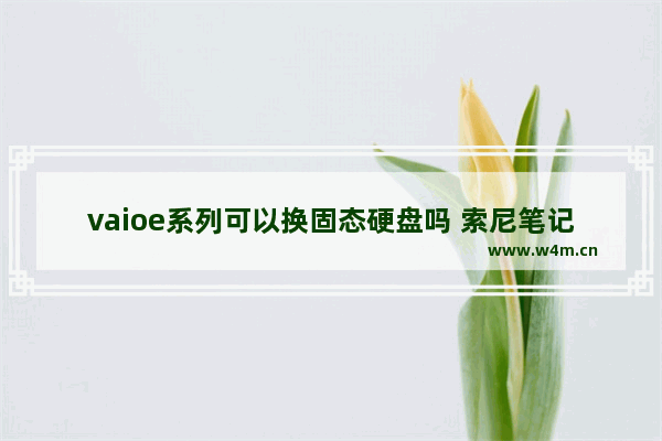 vaioe系列可以换固态硬盘吗 索尼笔记本可以装固态硬盘吗