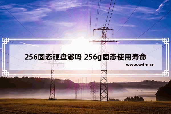 256固态硬盘够吗 256g固态使用寿命