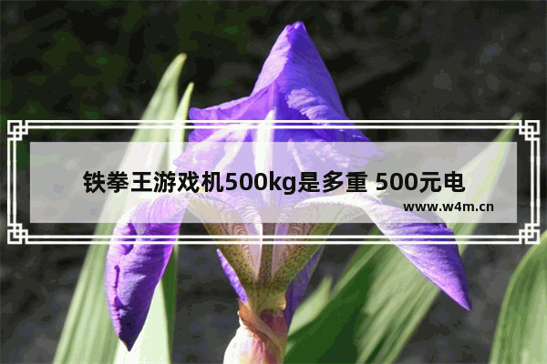 铁拳王游戏机500kg是多重 500元电脑游戏机品牌