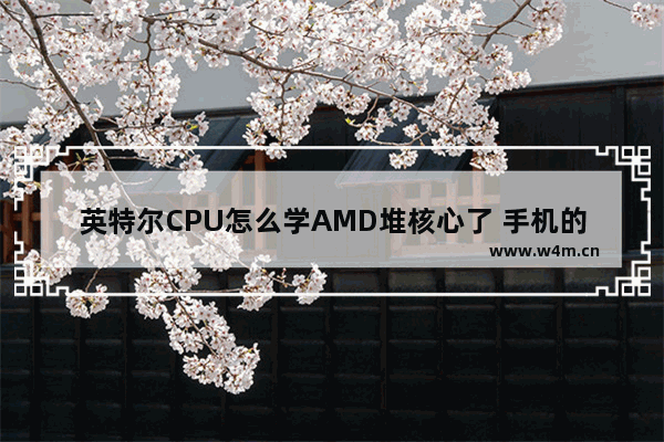 英特尔CPU怎么学AMD堆核心了 手机的储存内存和cpu是一体的吗