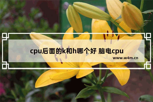 cpu后面的k和h哪个好 脑电cpu