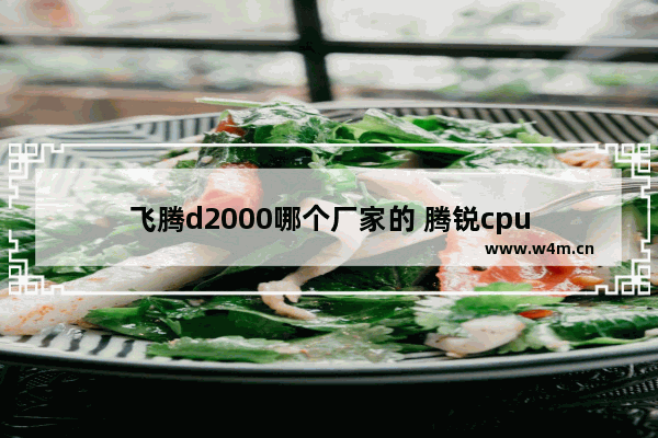 飞腾d2000哪个厂家的 腾锐cpu