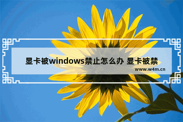 显卡被windows禁止怎么办 显卡被禁用了怎么办