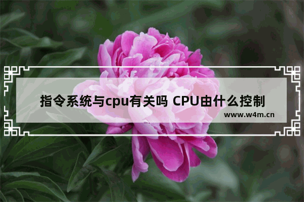 指令系统与cpu有关吗 CPU由什么控制