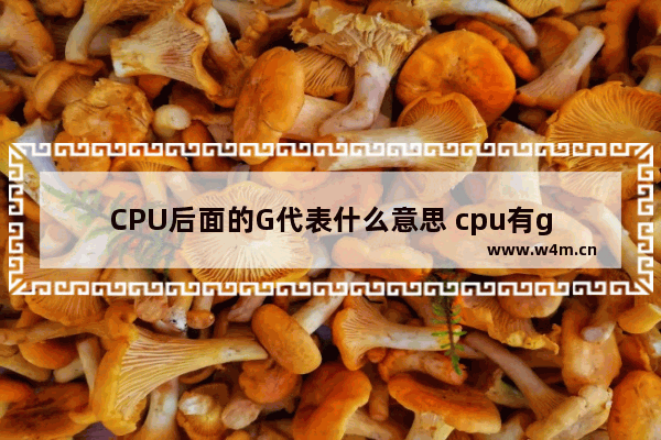 CPU后面的G代表什么意思 cpu有g