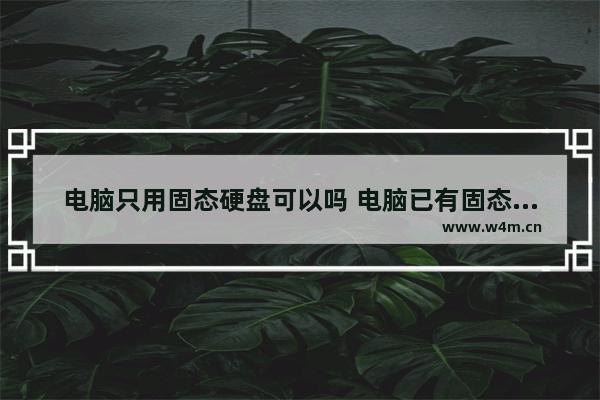 电脑只用固态硬盘可以吗 电脑已有固态硬盘 但是内存不够想加内存 是加固态好 还是机械盘好呢